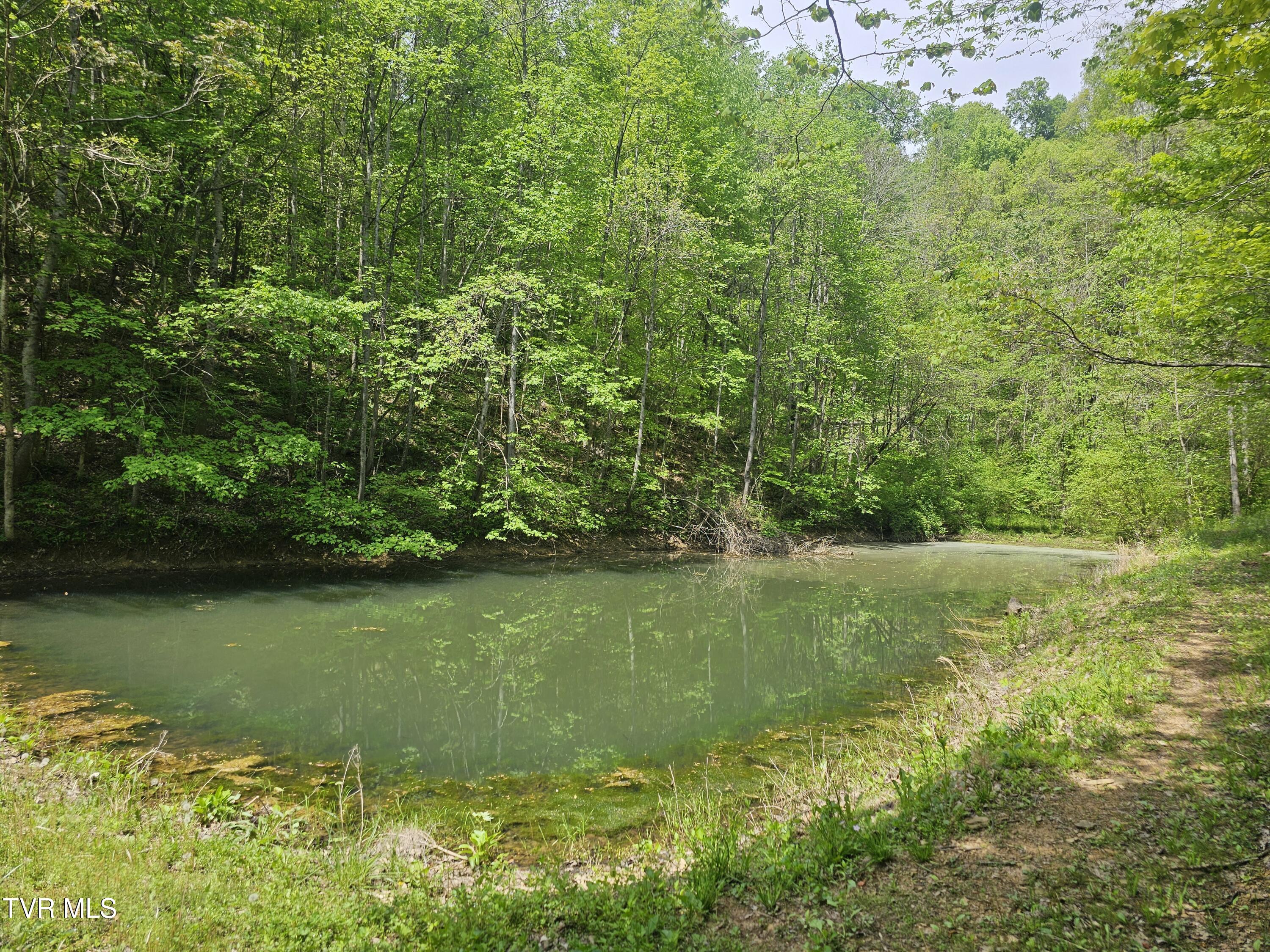 473 Lautner Road Bulls Gap, TN 37711 - Photo 24 of 25 20250425_122800