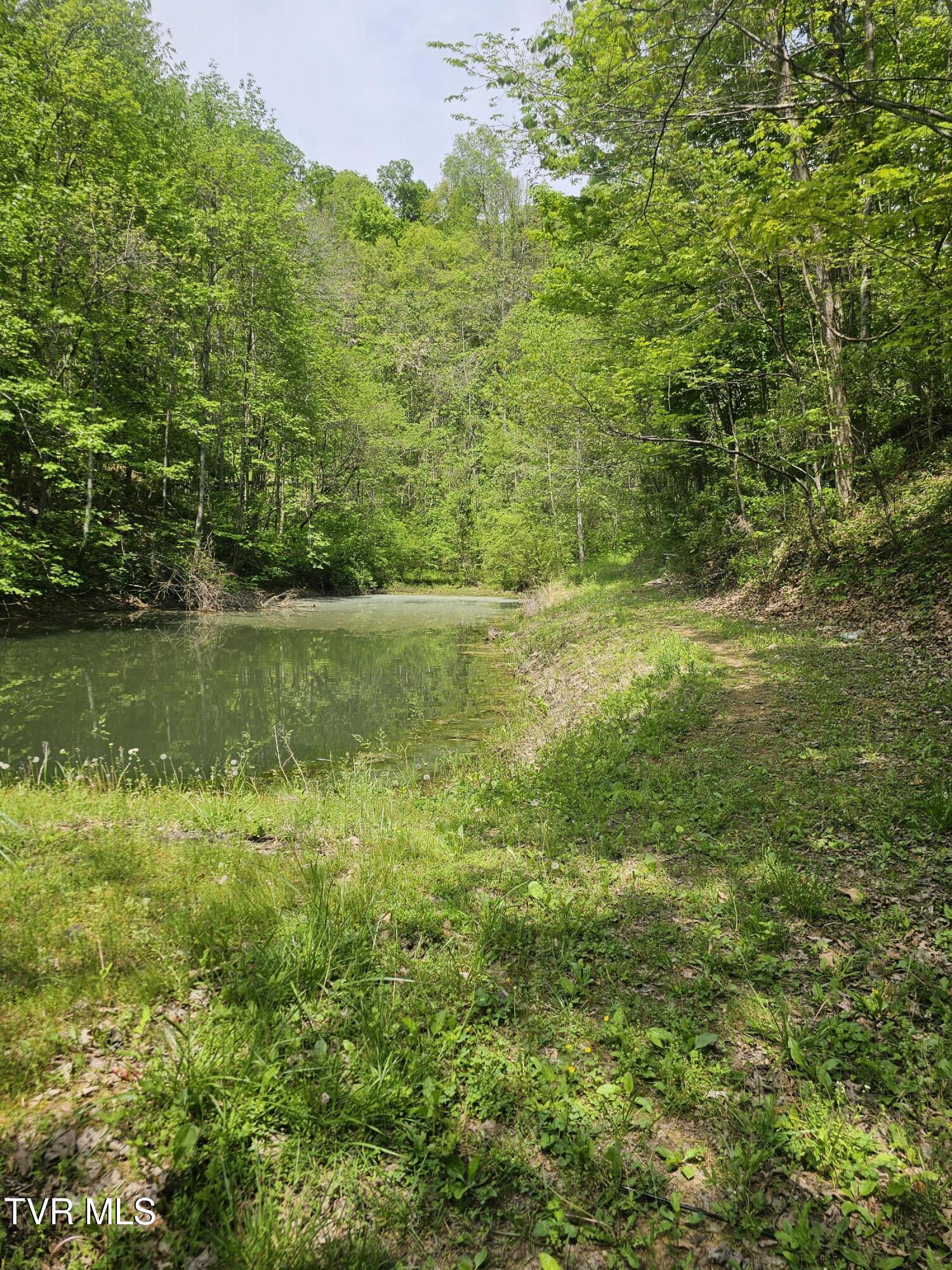 473 Lautner Road Bulls Gap, TN 37711 - Photo 25 of 25 20250425_122831