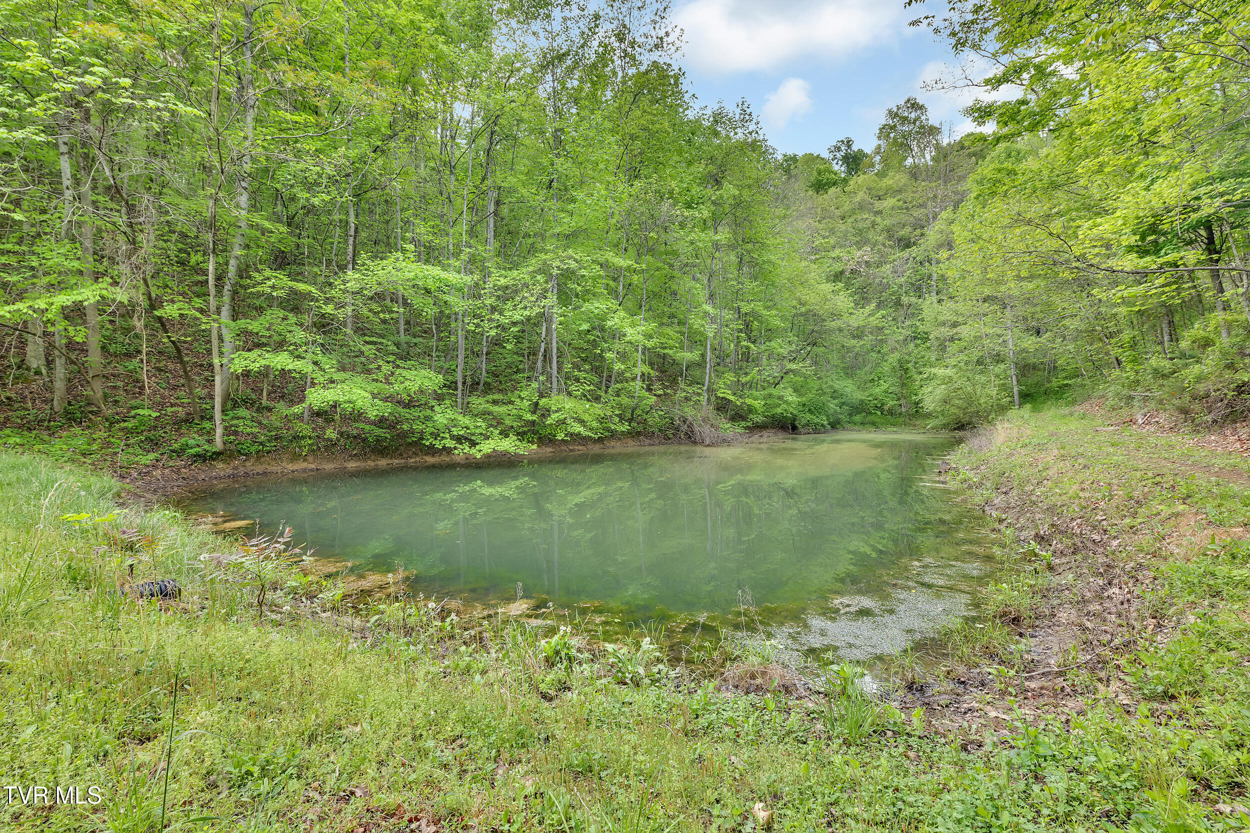 473 Lautner Road Bulls Gap, TN 37711 - Photo 3 of 25 12_18
