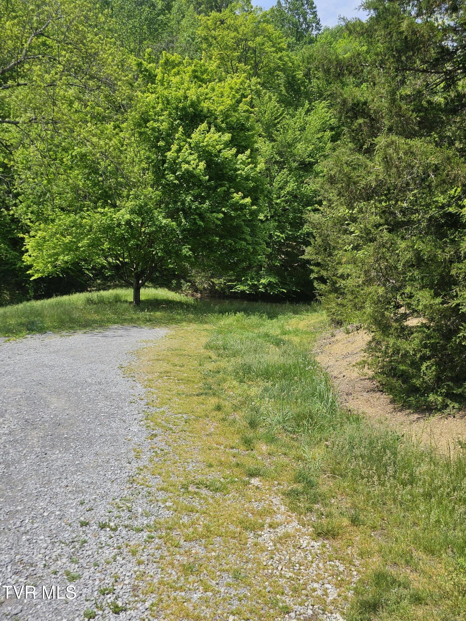 473 Lautner Road Bulls Gap, TN 37711 - Photo 8 of 25 20250425_124608