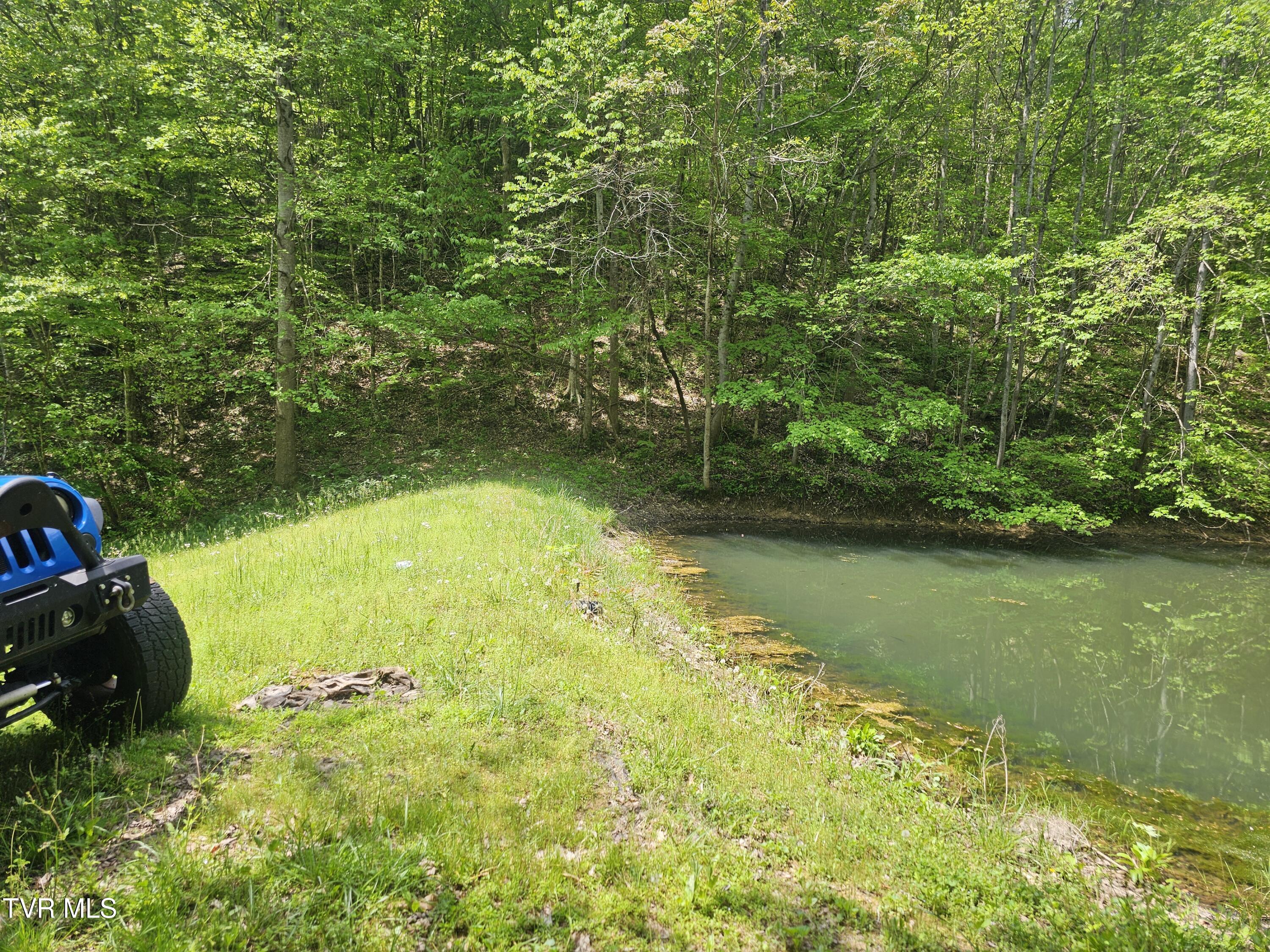 473 Lautner Road Bulls Gap, TN 37711 - Photo 9 of 25 20250425_122804