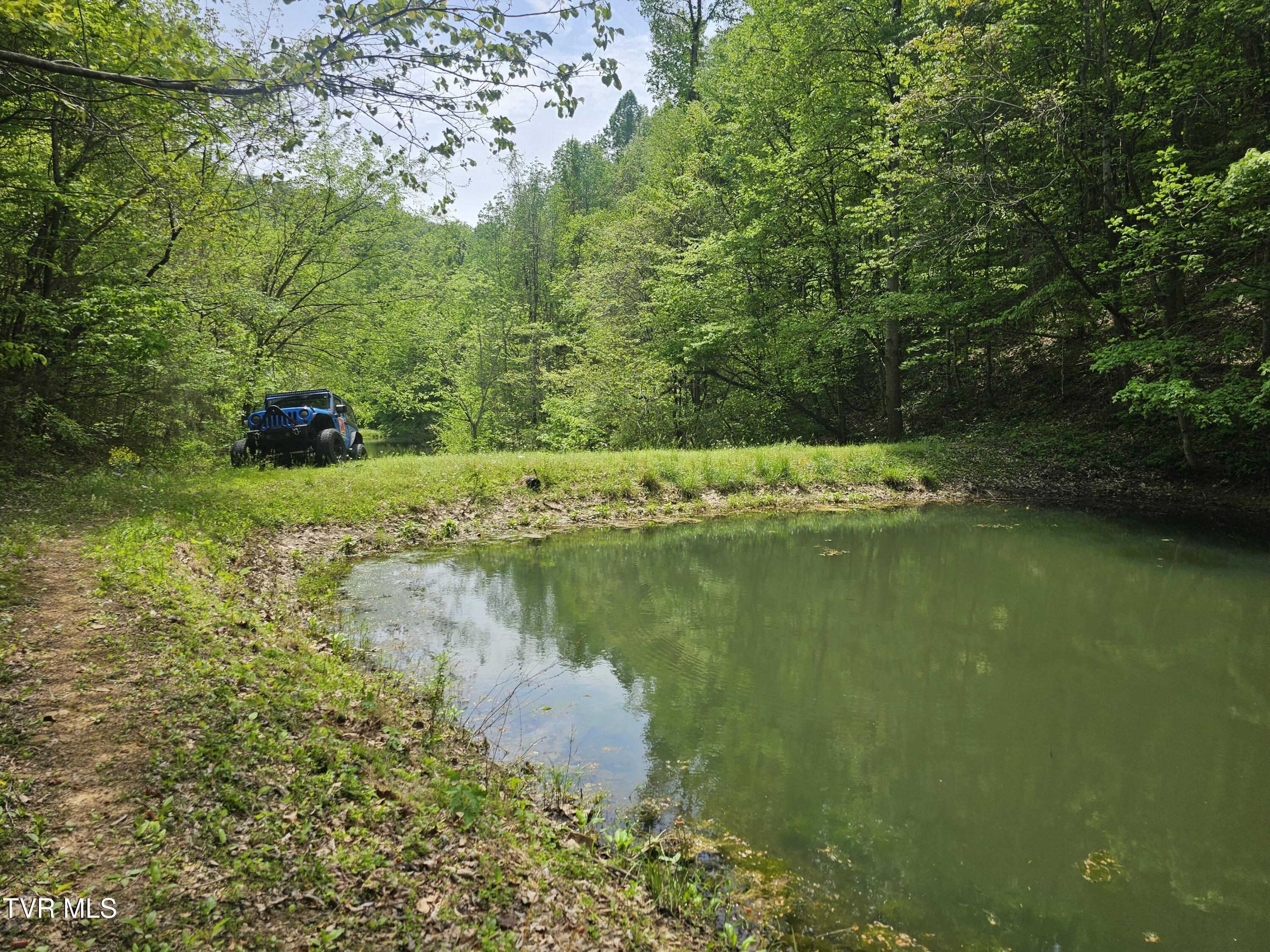 473 Lautner Road Bulls Gap, TN 37711 - Photo 10 of 25 20250425_123015