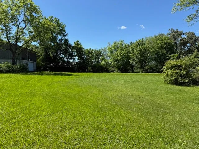 a view of a field with trees in the background