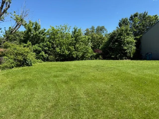 a view of green field with trees in the background