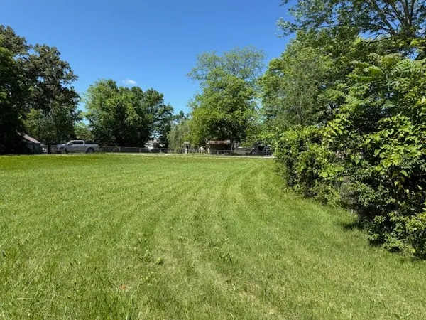 a view of a green field with trees in the background