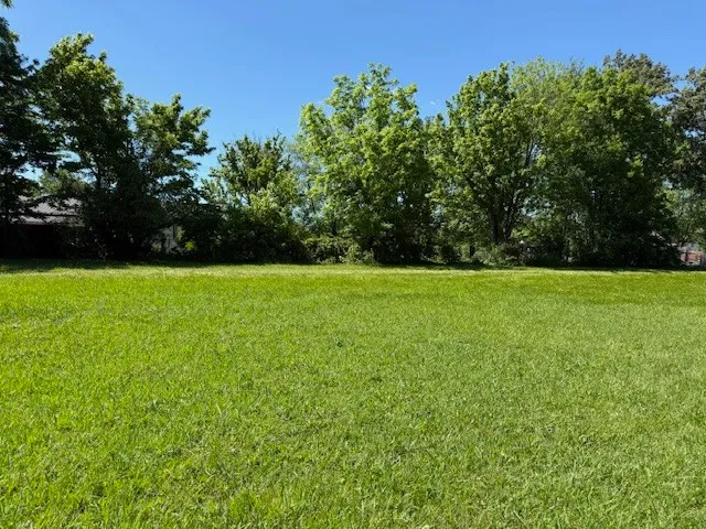a view of a green field with plants in the background