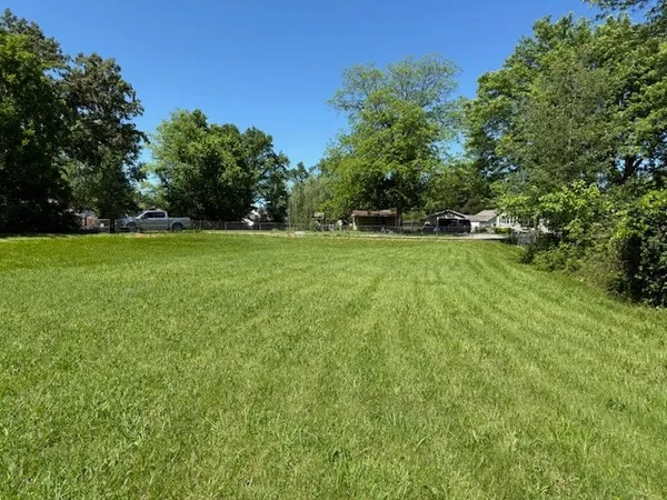 a view of grassy field with trees