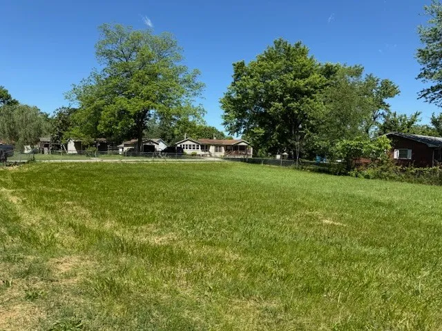 a view of a trees in a yard