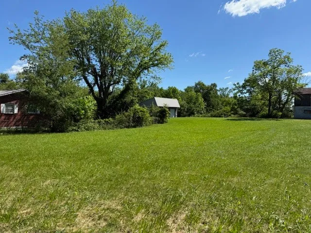 a view of a field of grass and trees