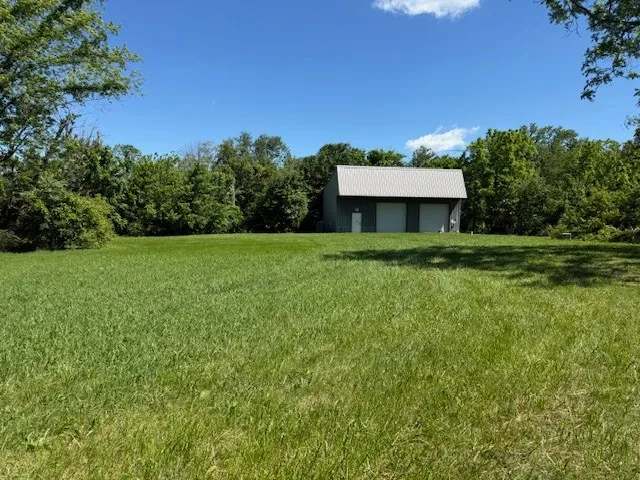 a view of a large garden with plants and large trees