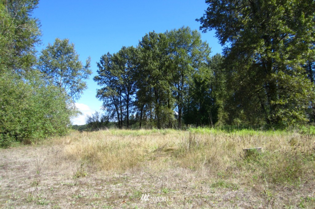 -xxx Imboden Road Castle Rock, WA 98611 - Photo 10 of 13 Gallery Image 10