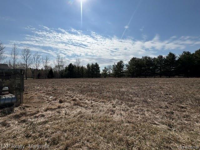 6919 Emmett Road Yale, MI 48097 - Photo 6 of 15