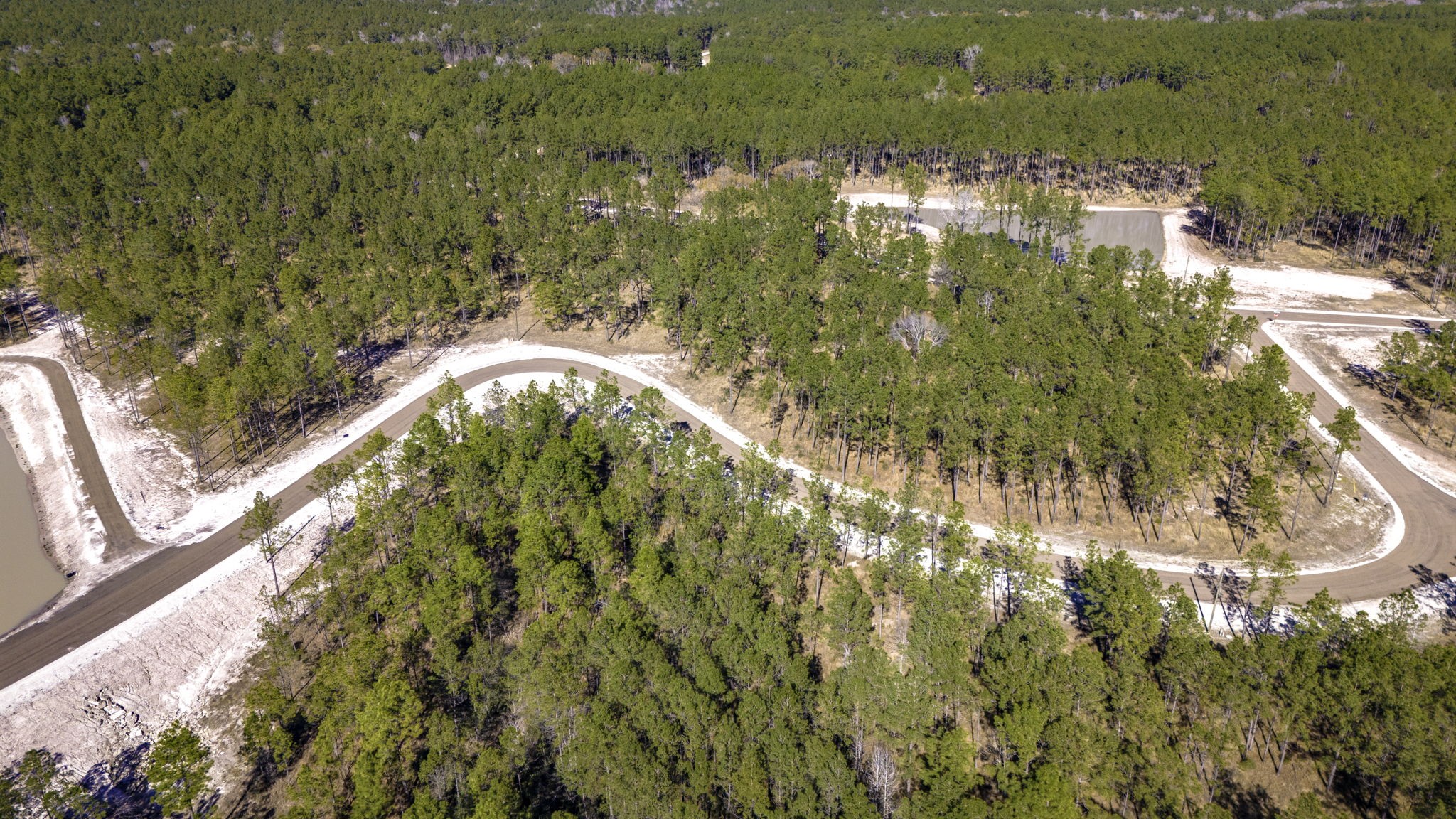 413 Well's Landing Road Onalaska, TX 77360 - Photo 12 of 24