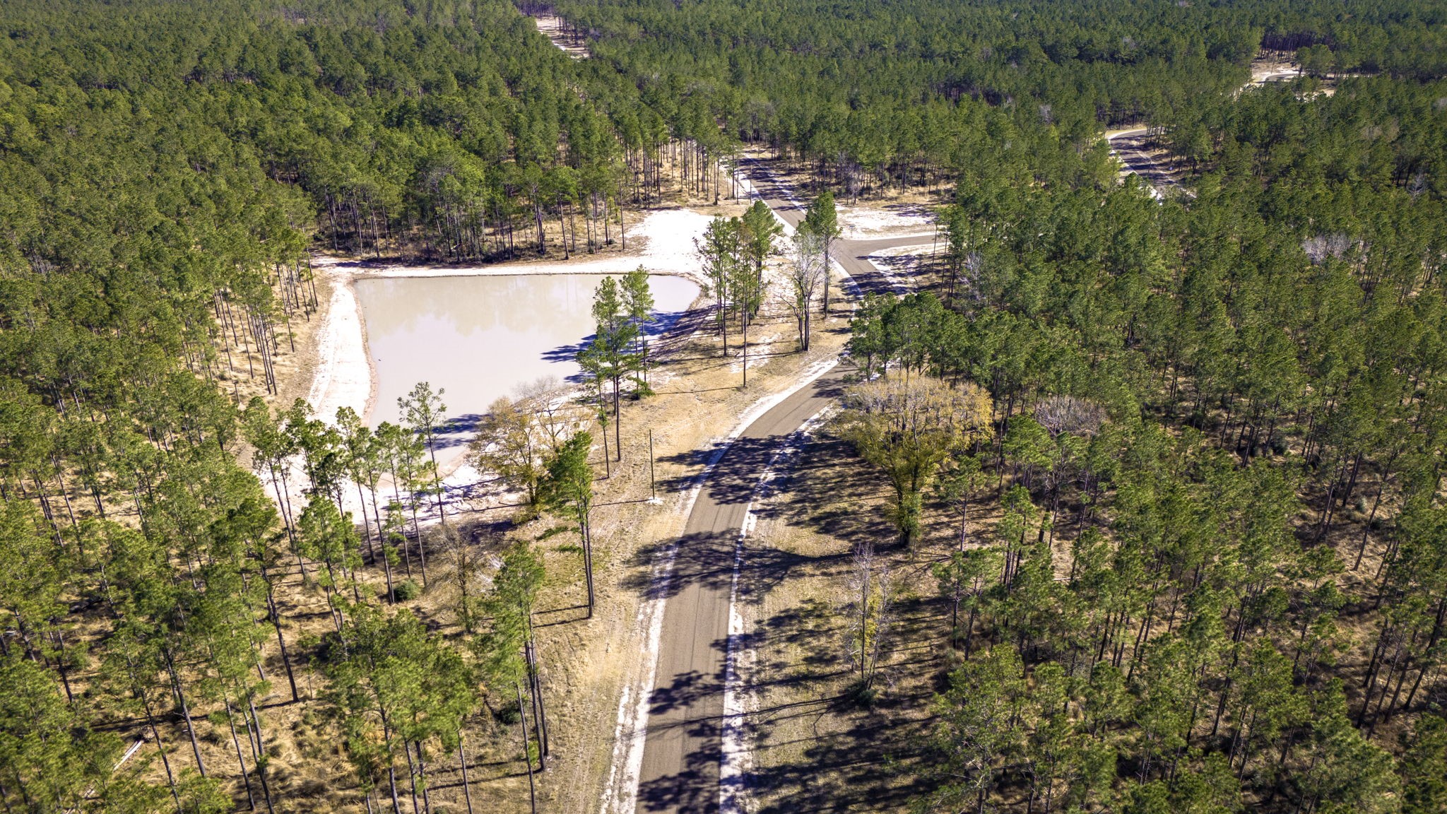 413 Well's Landing Road Onalaska, TX 77360 - Photo 19 of 24