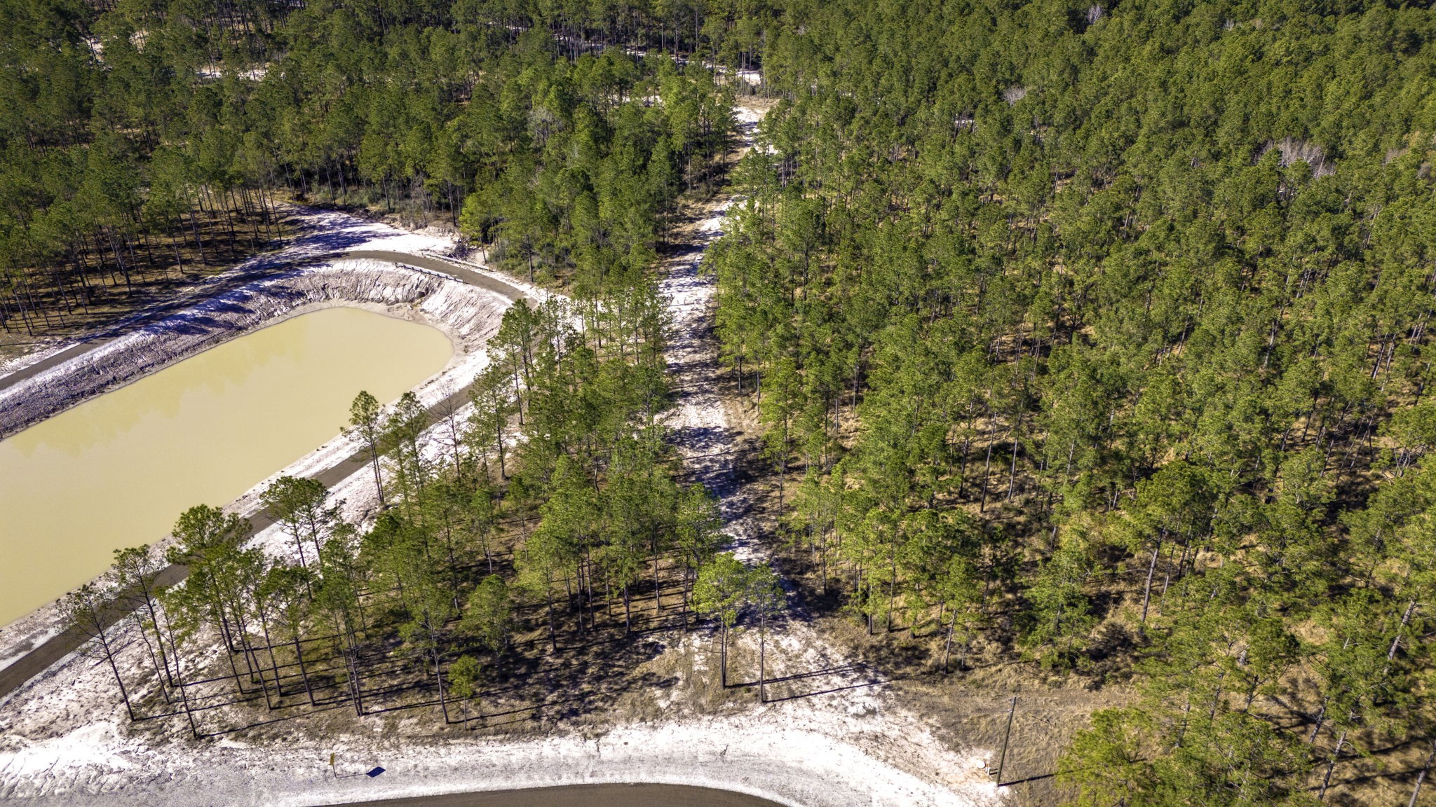 413 Well's Landing Road Onalaska, TX 77360 - Photo 20 of 24