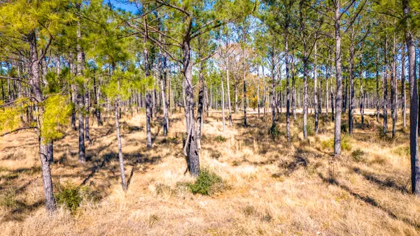 $218,010 | 413 Well's Landing Road, Onalaska, TX 77360