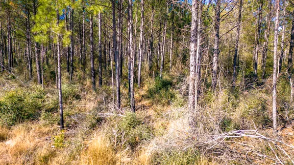 $218,010 | 413 Well's Landing Road, Onalaska, TX 77360