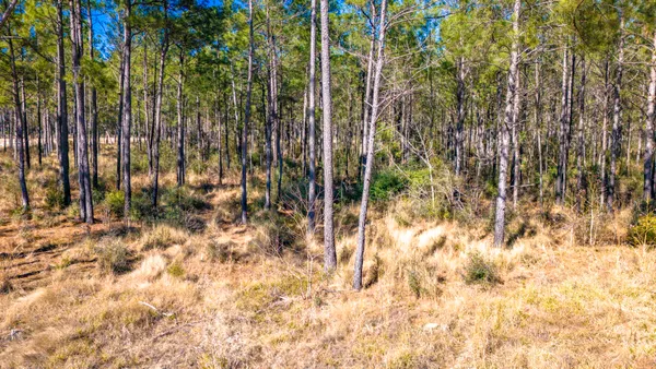 $218,010 | 413 Well's Landing Road, Onalaska, TX 77360