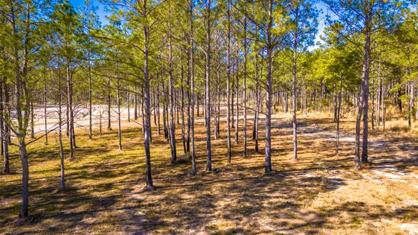 $218,010 | 413 Well's Landing Road, Onalaska, TX 77360
