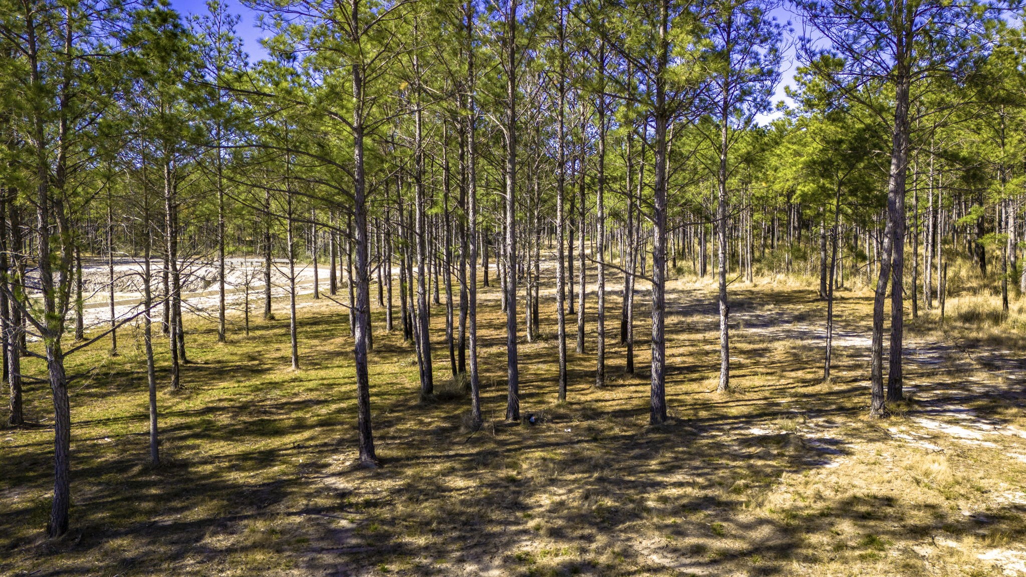 413 Well's Landing Road Onalaska, TX 77360 - Photo 9 of 24