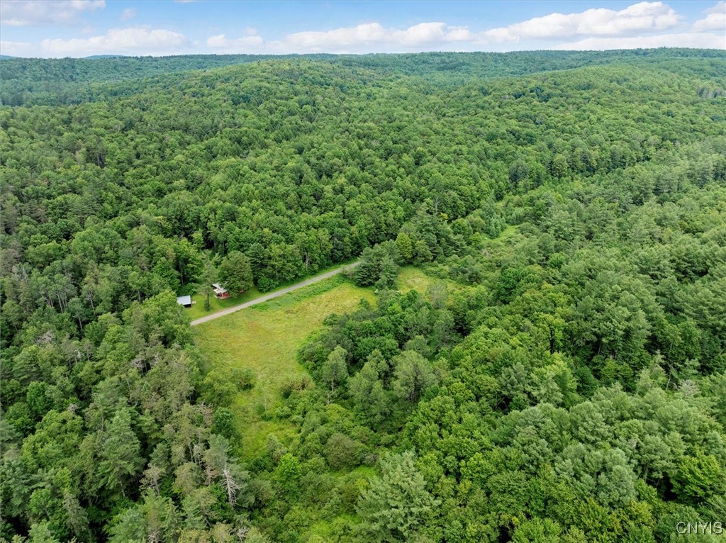 9255 Brown Road Hubbardsville, NY 13355 - Photo 18 of 44