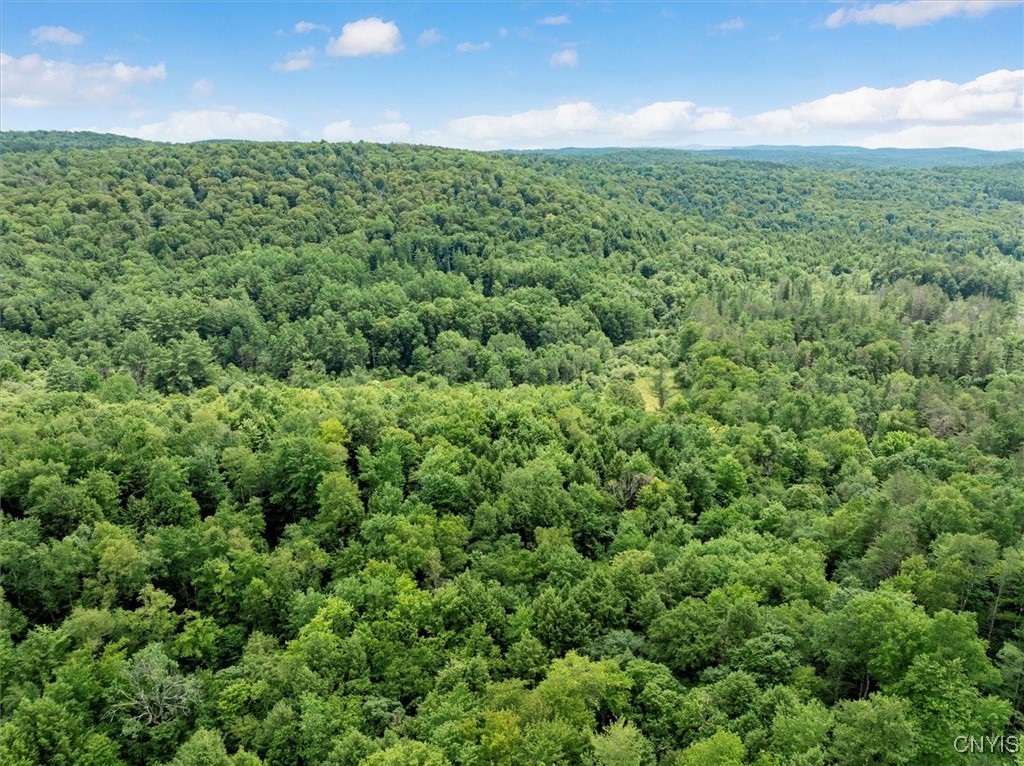 9255 Brown Road Hubbardsville, NY 13355 - Photo 20 of 44