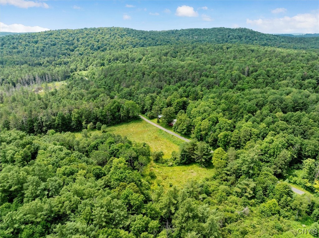 9255 Brown Road Hubbardsville, NY 13355 - Photo 21 of 44