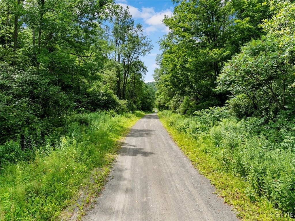 9255 Brown Road Hubbardsville, NY 13355 - Photo 9 of 44