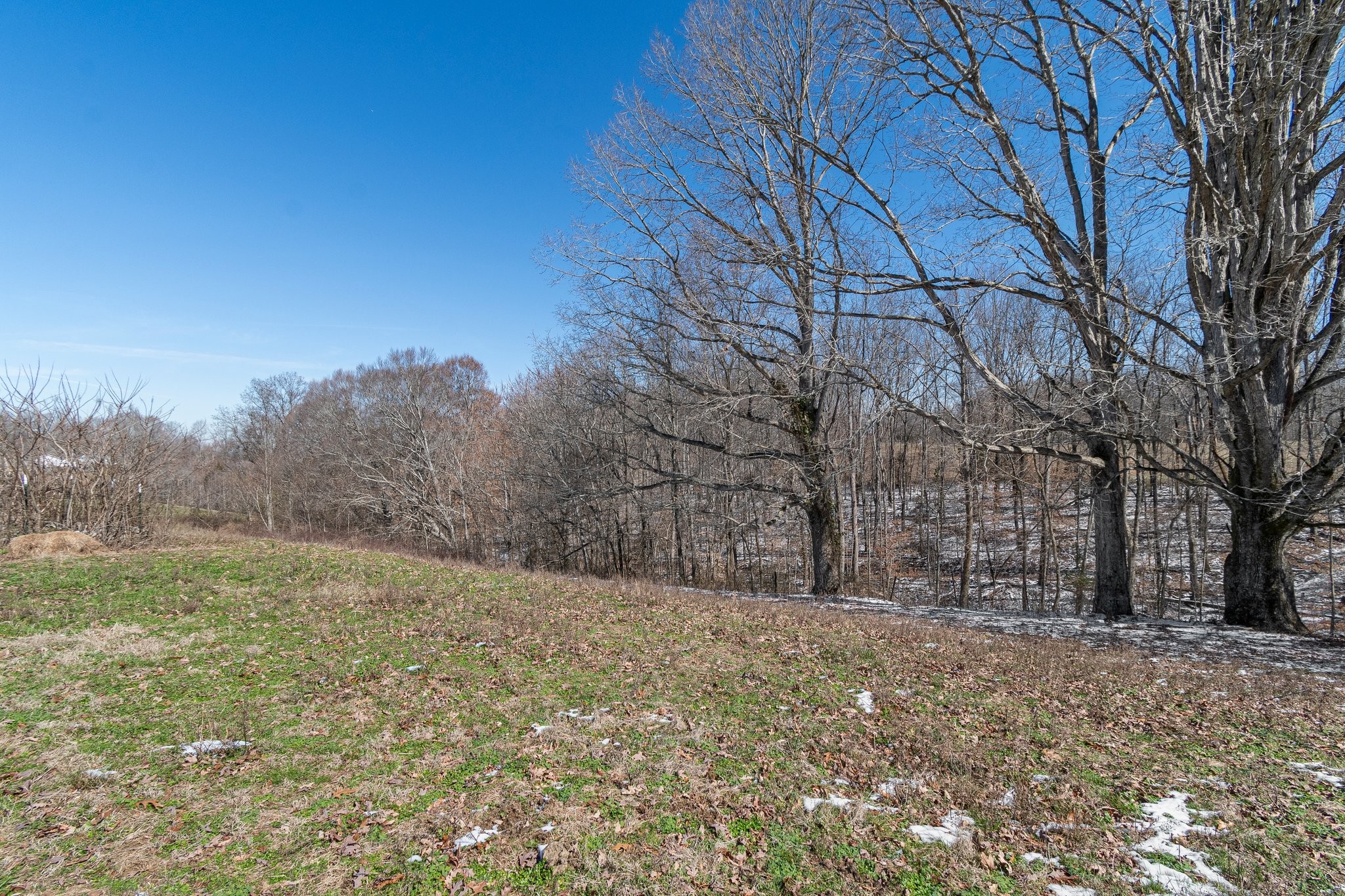 2171 Shuler Branch Road Ethridge, TN 38456 - Photo 30 of 46 Gallery Image 30