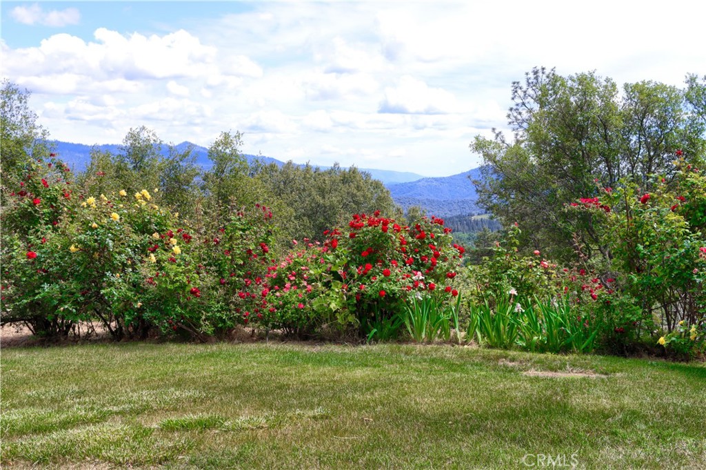 5603 Clouds Rest Mariposa, CA 95338 - Photo 56 of 75 Front Yard