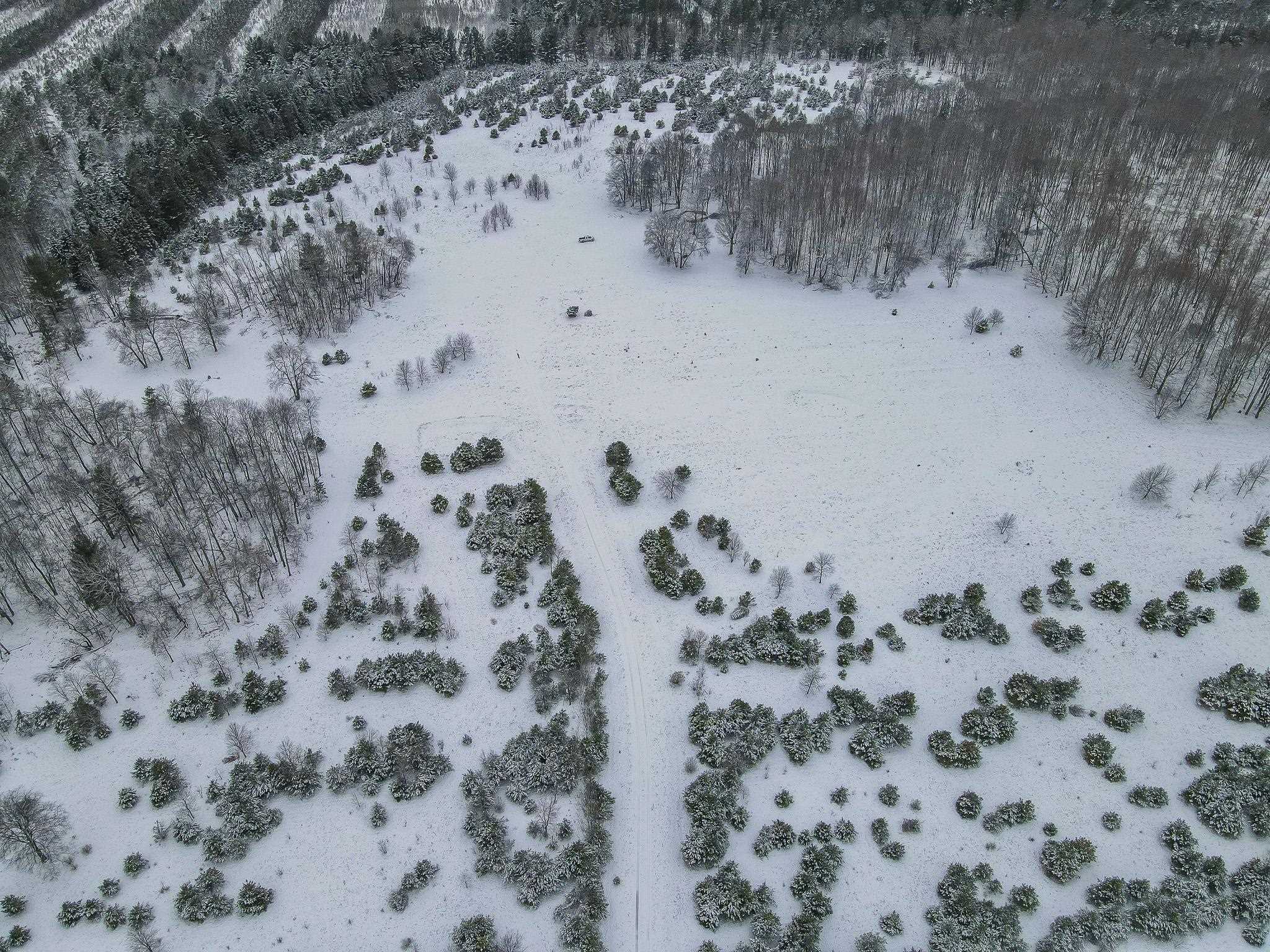81-acres North 25 Road Buckley, MI 49620 - Photo 9 of 36