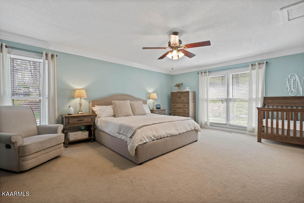 6813 Resolute Road Knoxville, TN 37918 - Photo 20 of 41 MASTER BED