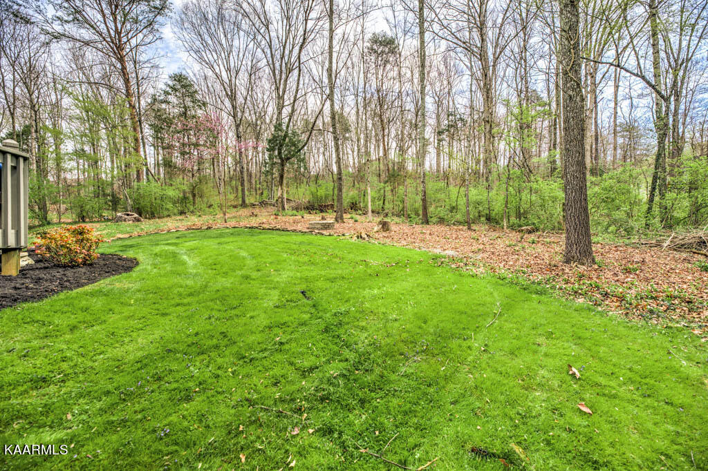 6813 Resolute Road Knoxville, TN 37918 - Photo 41 of 41 BACKYARD