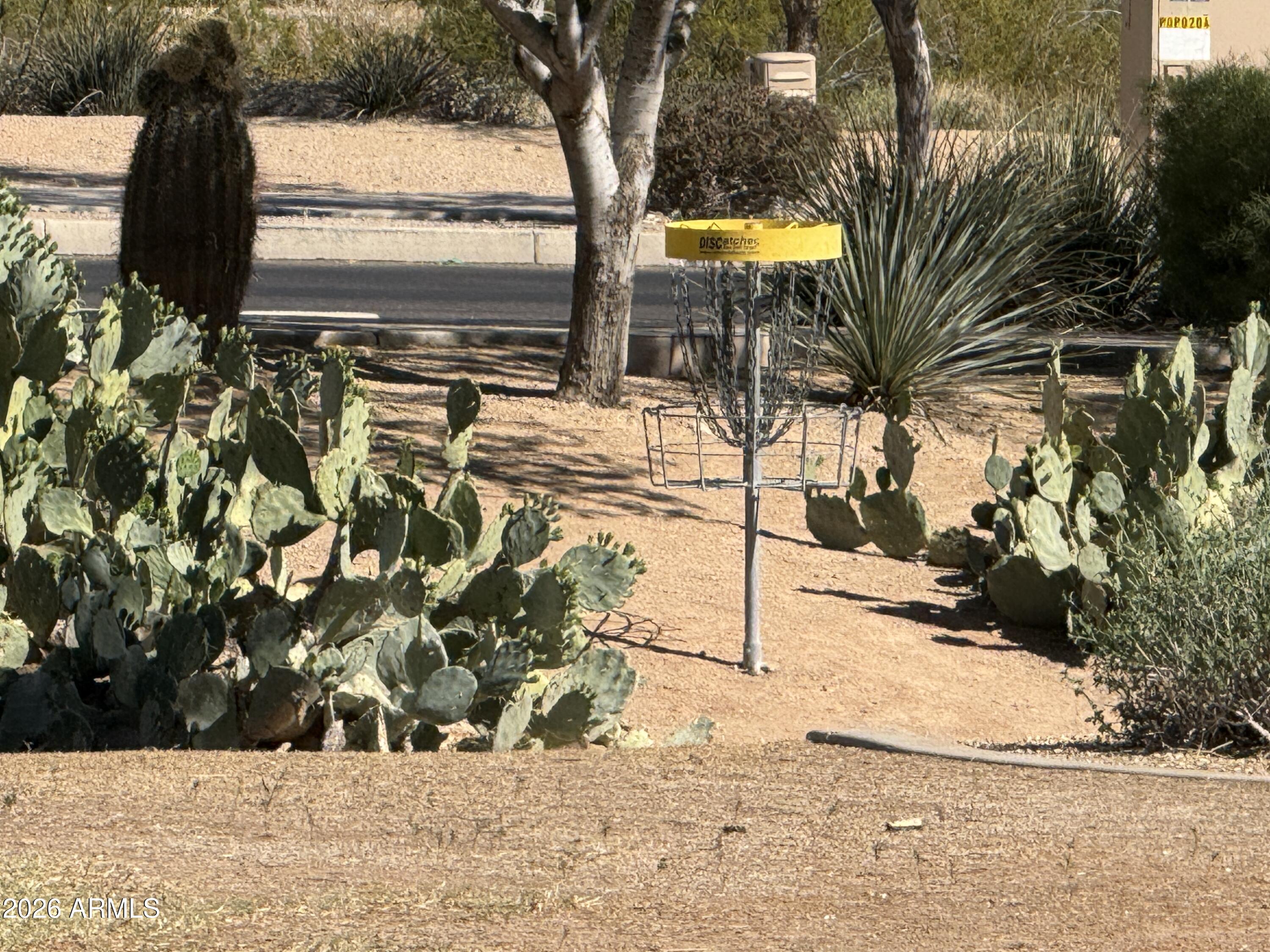 8304 East Inca Street Mesa, AZ 85207 - Photo 44 of 52 IMG_8125