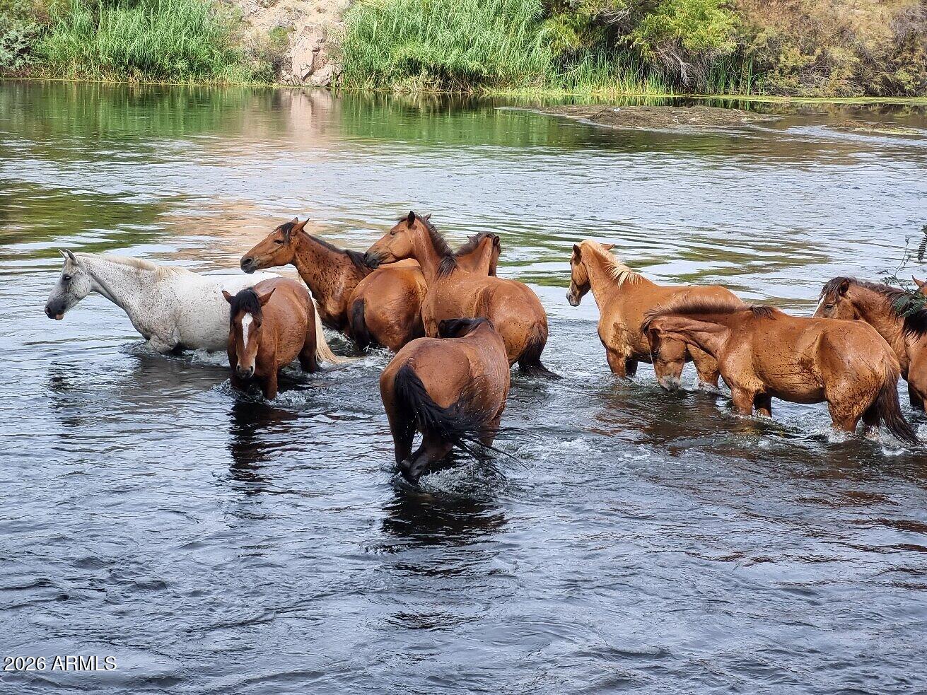 8304 East Inca Street Mesa, AZ 85207 - Photo 48 of 52 caption (1)