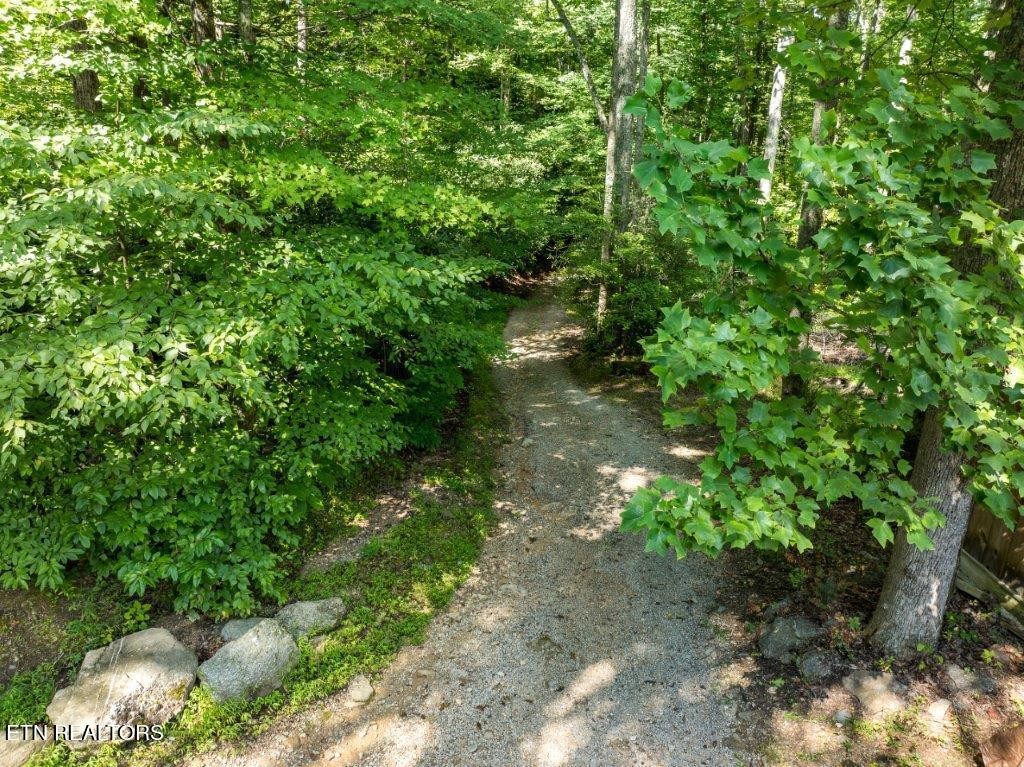 10 Carrs Creek Road Townsend, TN 37882 - Photo 14 of 19 Gallery Image 14