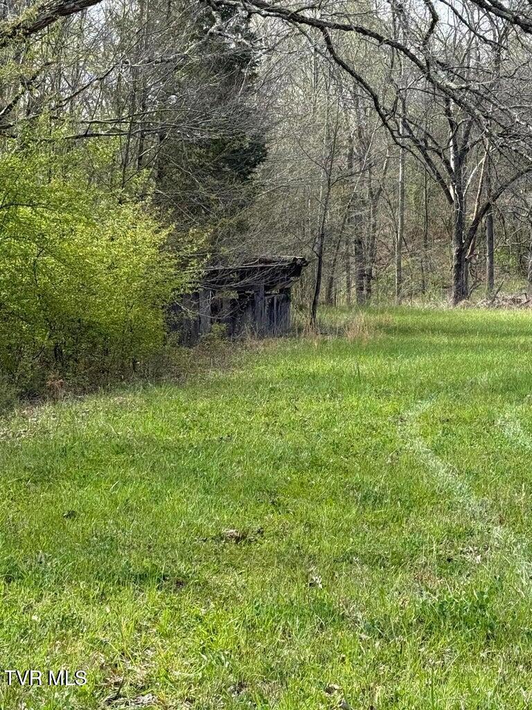 0 Longtown Road Bulls Gap, TN 37711 - Photo 29 of 34 20250906002715821115000000-o