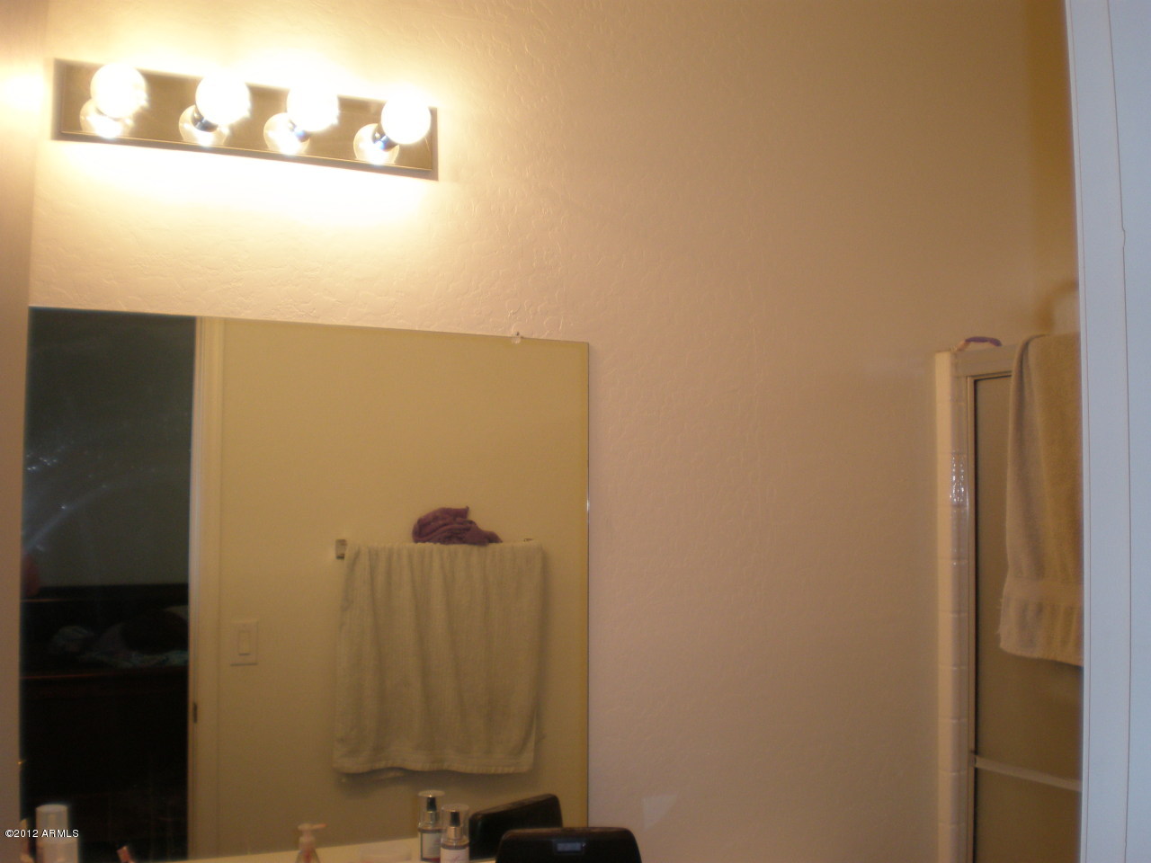 2300 East Magma Road San Tan Valley, AZ 85143 - Photo 10 of 10 a bathroom with a shower
