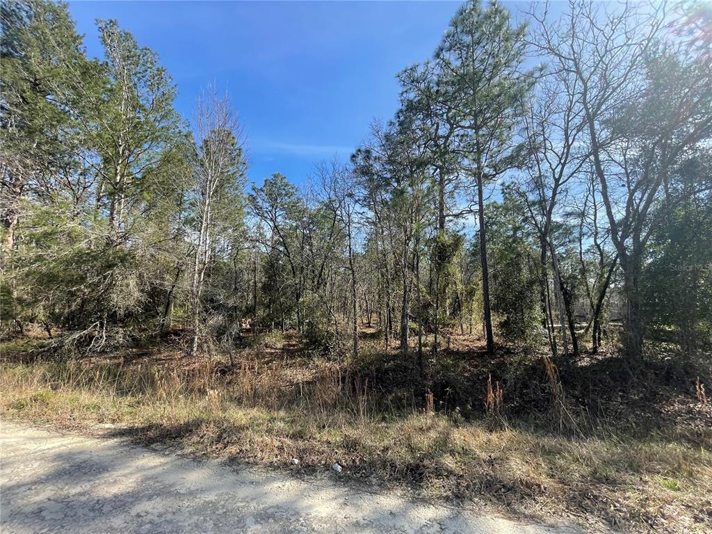 Tbd Southwest 125th Ct Road, Unit LOT 12 Dunnellon, FL 34432 - Photo 1 of 1 Gallery Image 1