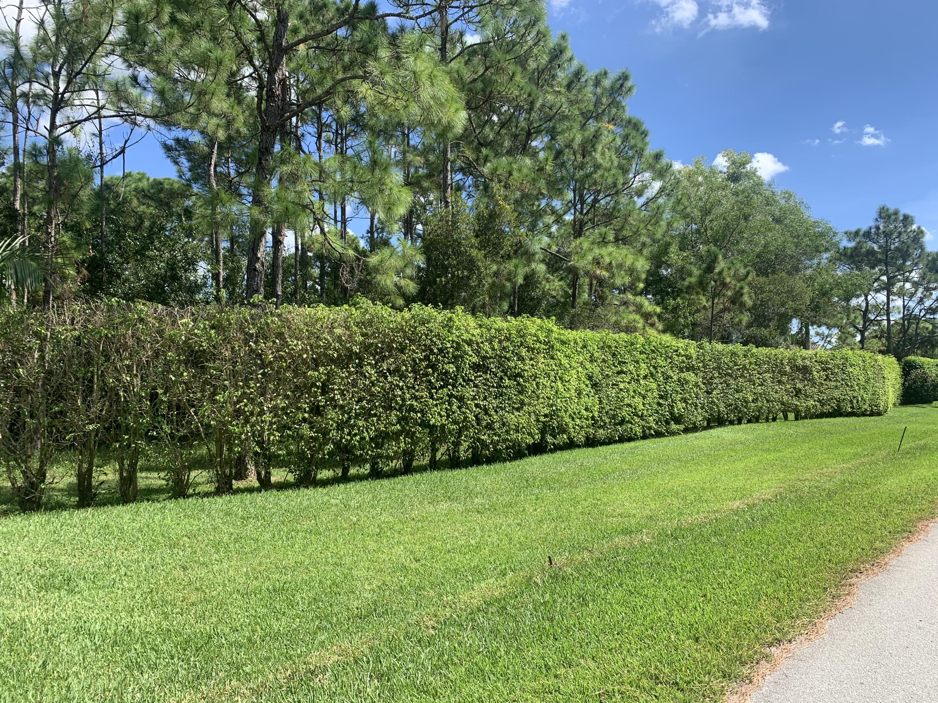 3601 Southeast Tailwinds Road Jupiter, FL 33478 - Photo 5 of 12 Side/front