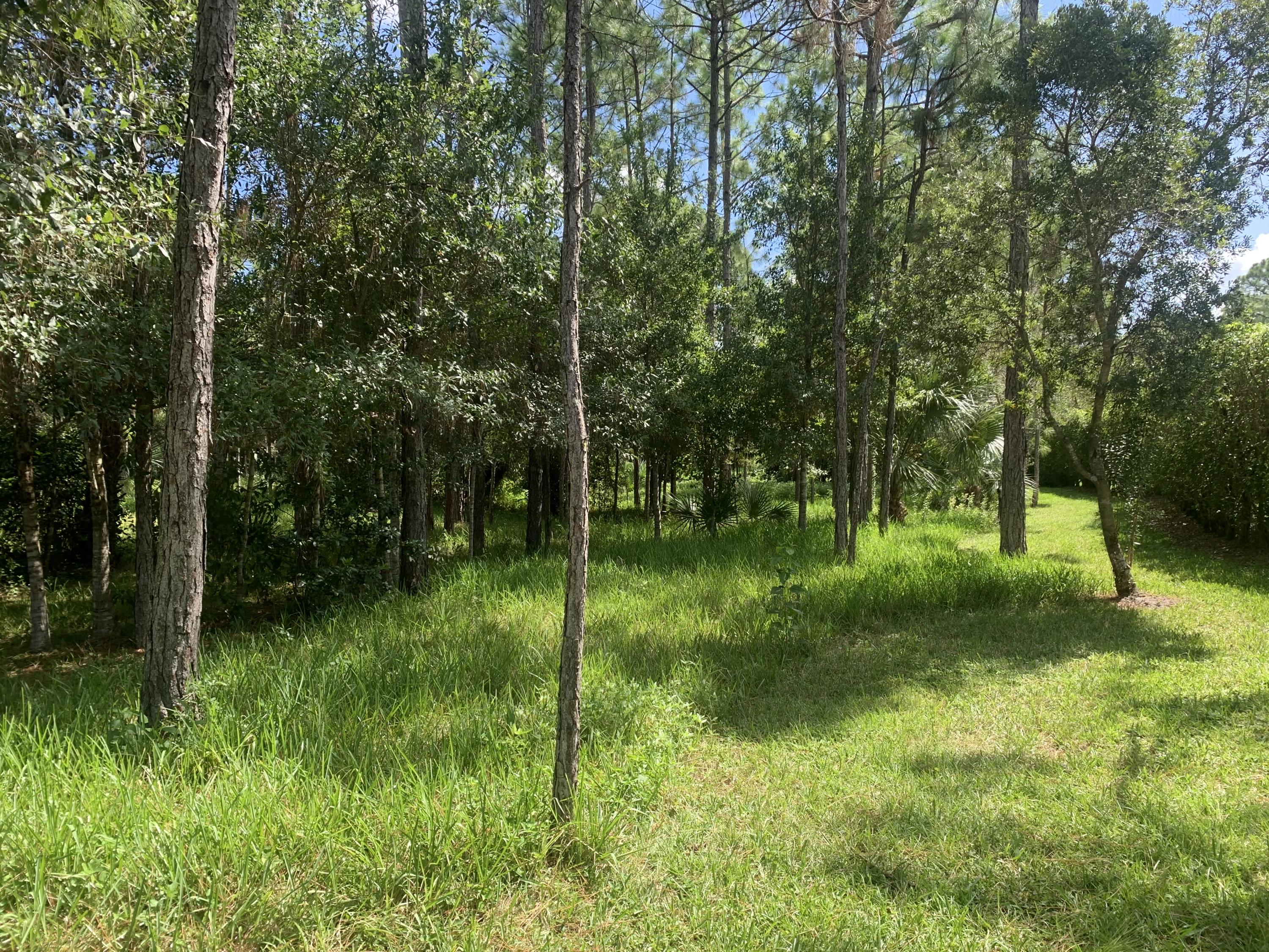 3601 Southeast Tailwinds Road Jupiter, FL 33478 - Photo 6 of 12 IMG_3730