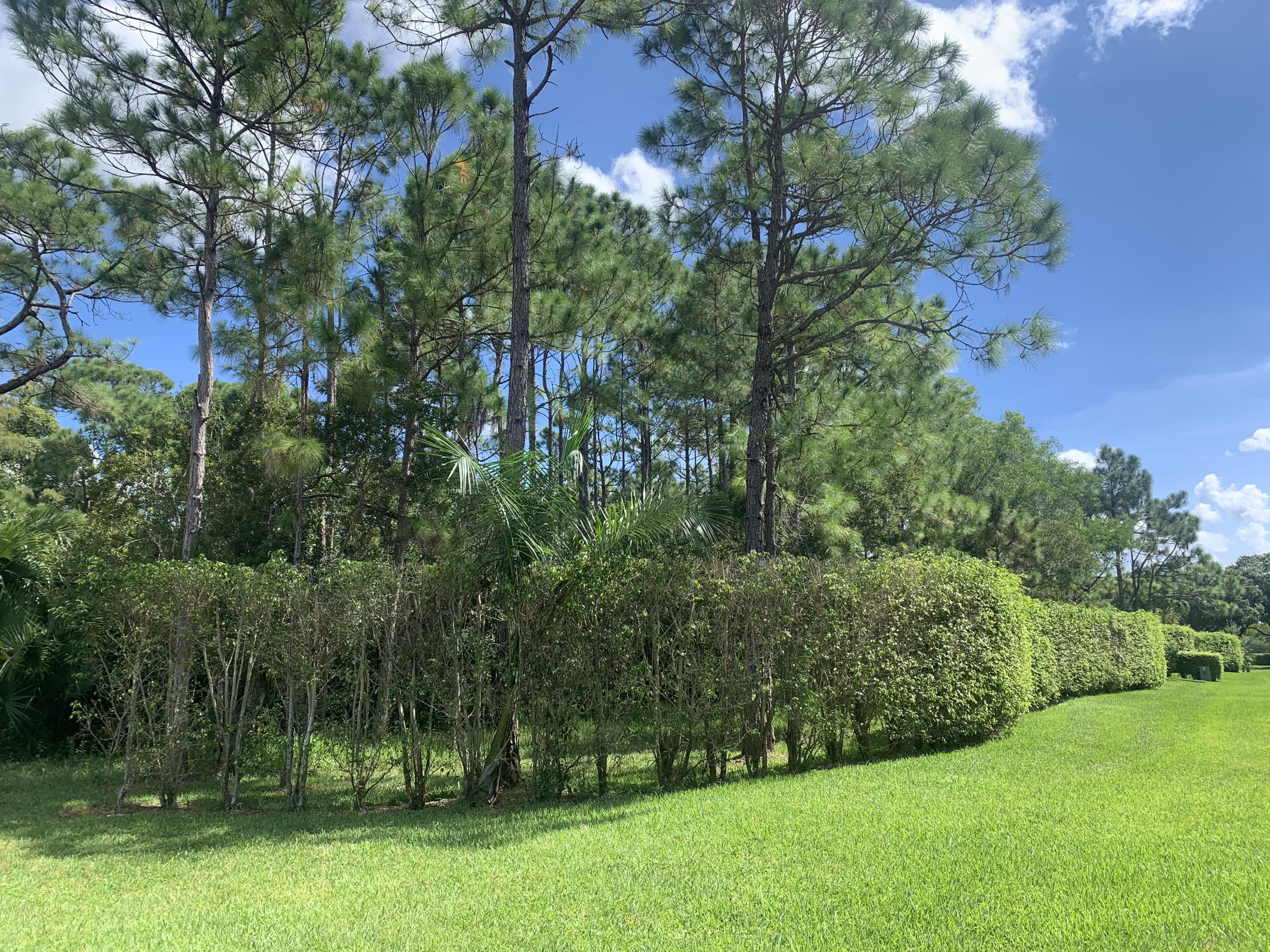 3601 Southeast Tailwinds Road Jupiter, FL 33478 - Photo 7 of 12 IMG_3729