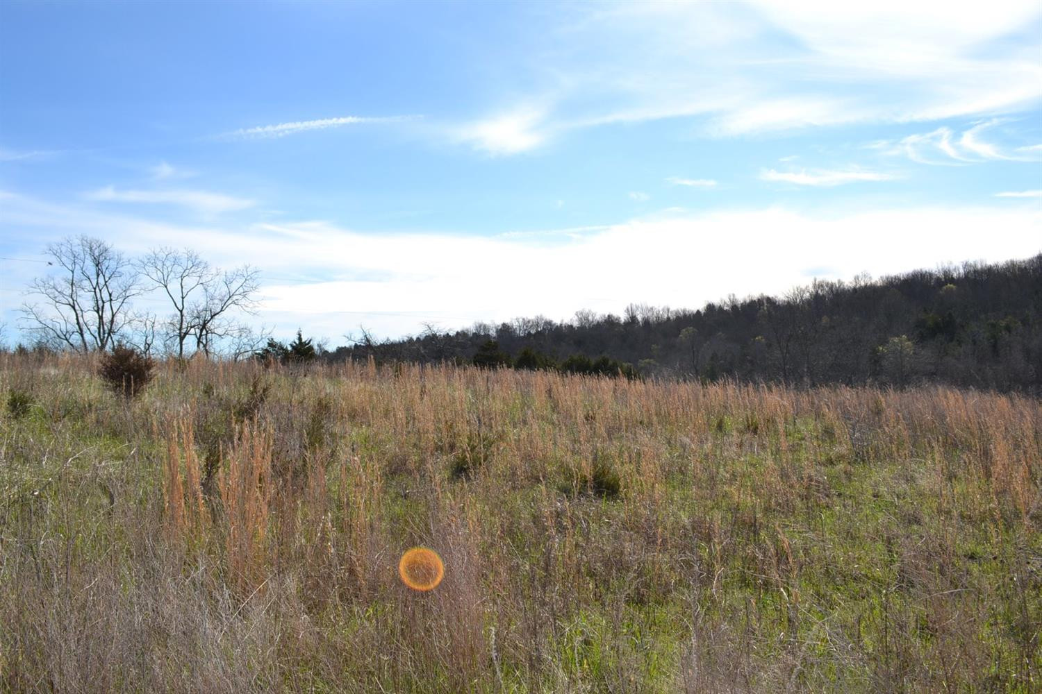 140 Fallis Run Road Harrodsburg, KY 40330 - Photo 9 of 22 Photo 9