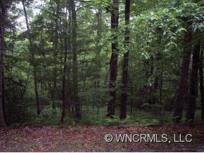 237 Doe Run Brevard, NC 28712 - Photo 14 of 18