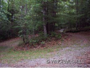 237 Doe Run Brevard, NC 28712 - Photo 9 of 18