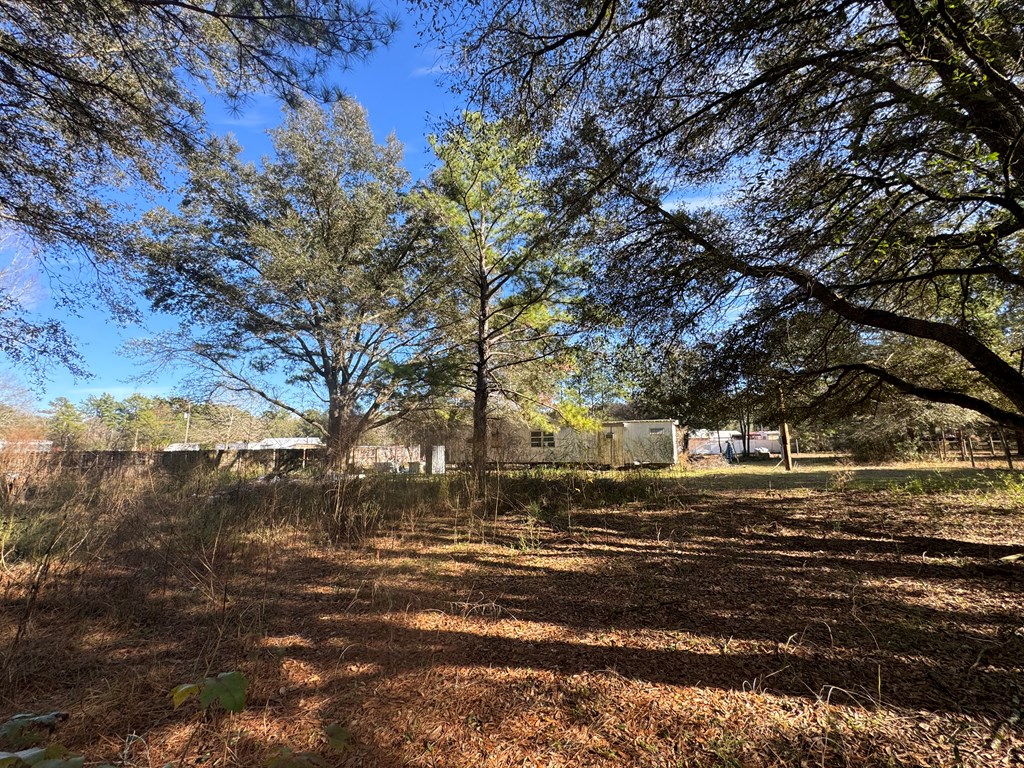 138 Grove Road Hartford, AL 36344 - Photo 14 of 15
