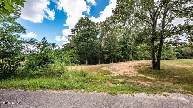 a view of a yard with a tree