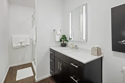 a bathroom with a sink and a mirror