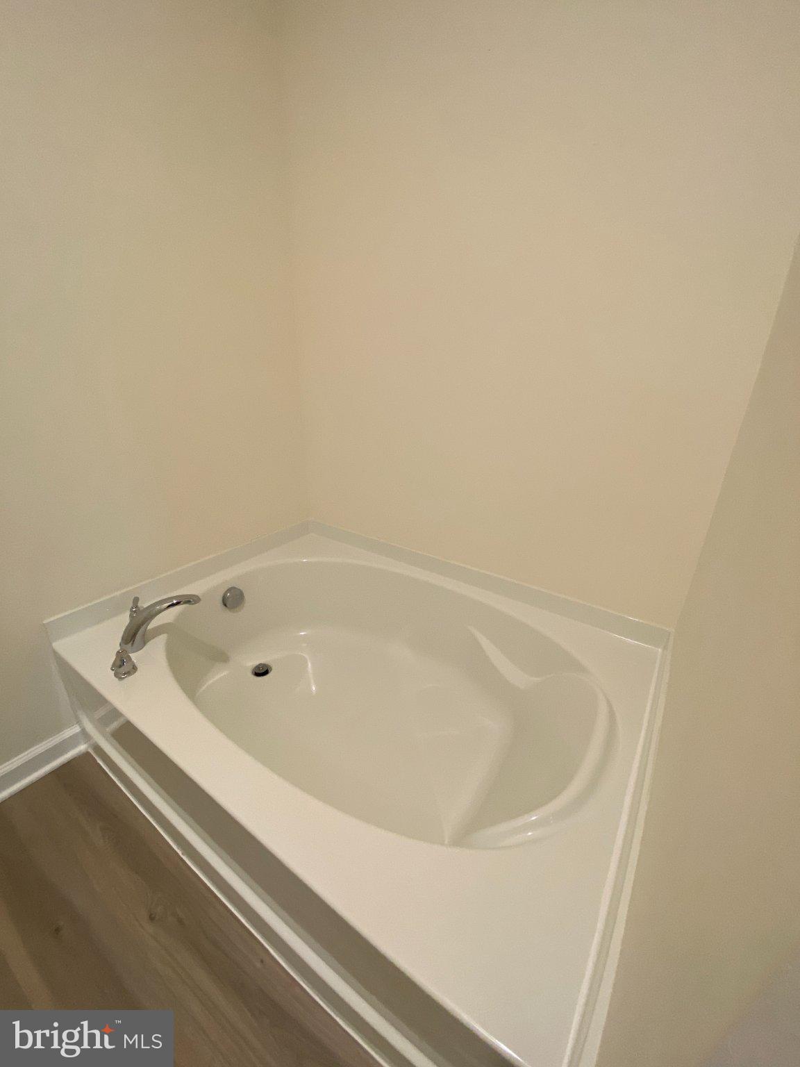 697 Rivanna Run Falling Waters, WV 25419 - Photo 19 of 44 a bathroom with a tub and a shower
