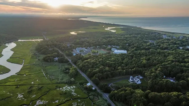 a view of a dry yard